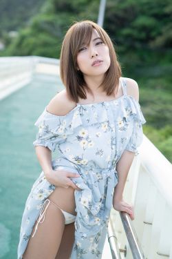 不二之臣小说